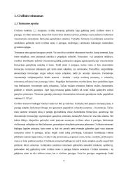 Teisnumas ir veiksnumas 3 puslapis