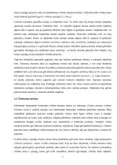 Teisnumas ir veiksnumas 4 puslapis