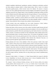 Teisnumas ir veiksnumas 5 puslapis