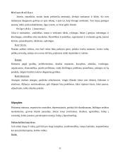 Žmogaus temperamentas 11 puslapis