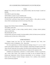 Žmogaus temperamentas 16 puslapis