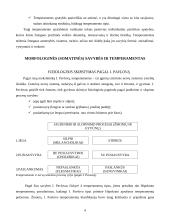 Žmogaus temperamentas 4 puslapis