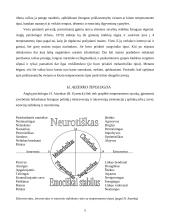 Žmogaus temperamentas 5 puslapis