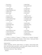 Žmogaus temperamentas 9 puslapis