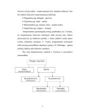 Temperamentas - viena reikšmingiausių žmogaus ypatybių 3 puslapis
