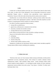 Esminiai terminai civilinėje teisėje 3 puslapis