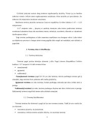 Esminiai terminai civilinėje teisėje 5 puslapis