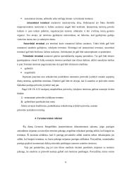 Esminiai terminai civilinėje teisėje 6 puslapis