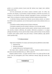 Esminiai terminai civilinėje teisėje 7 puslapis