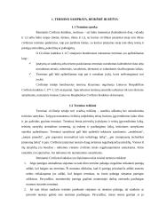 Termino samprata, reikšmė ir rūšys 3 puslapis