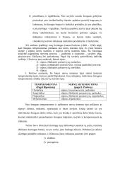 Tipai ir temperamentai 4 puslapis