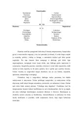 Tipai ir temperamentai 6 puslapis