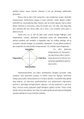 Tipai ir temperamentai 8 puslapis