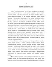 Valstybės tarnybos garantijos 12 puslapis