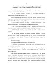 Valstybės tarnybos garantijos 14 puslapis