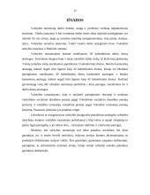 Valstybės tarnybos garantijos 17 puslapis