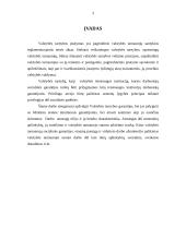 Valstybės tarnybos garantijos 3 puslapis