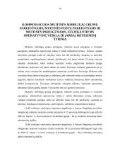 Valstybės tarnybos garantijos 10 puslapis