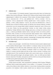 Vertybiniai popieriai ir turtinės teisės 19 puslapis