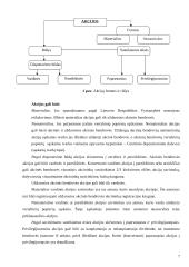 Vertybiniai popieriai ir turtinės teisės kaip civilinių teisių objektas 7 puslapis