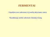 Fermentai bioanalitikoje 2 puslapis