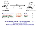 Fermentai bioanalitikoje 15 puslapis