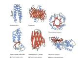 Fermentai bioanalitikoje 3 puslapis