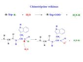 Fermentai bioanalitikoje 7 puslapis