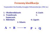 Fermentai bioanalitikoje 9 puslapis