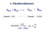 Fermentai bioanalitikoje 10 puslapis