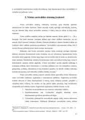 Vietos savivalda 17 puslapis