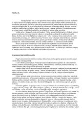 Vystymosi psichologija 2 puslapis