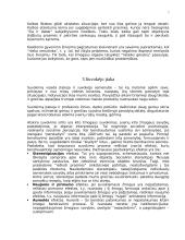 Suvokimo apibūdinimas, ypatumai bei rūšys 8 puslapis