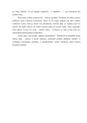 Broniaus Radzevičiaus novelės „Motinos apsilankymas“ analizė ir interpretacija 2 puslapis