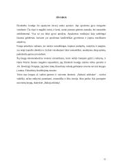 E. Goudge "Baltasis arkliukas" 11 puslapis