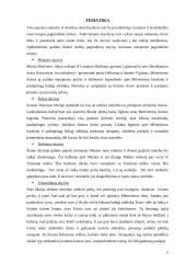 E. Goudge "Baltasis arkliukas" 5 puslapis