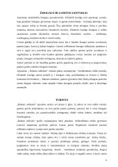 E. Goudge "Baltasis arkliukas" 6 puslapis