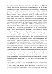 E. Goudge "Baltasis arkliukas" 8 puslapis