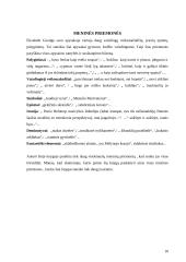 E. Goudge "Baltasis arkliukas" 10 puslapis