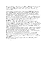 Filmo analizė: Propaganda, paremta Michael Moore dokumentika "Farenheit 9/11" 2 puslapis