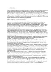 Filmo analizė: Propaganda, paremta Michael Moore dokumentika "Farenheit 9/11" 3 puslapis