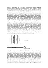 J. Grušas "Kelionė su kliūtimis" 2 puslapis