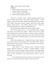 Mokyklos aplinkos vertinimas ir analizė 2 puslapis