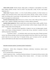 R. Granauskas ir jo apysaka "Gyvenimas po klevu" 2 puslapis