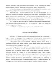 V. Juknaitė "Stiklo šalis" - apie autorę ir kūrinį 2 puslapis