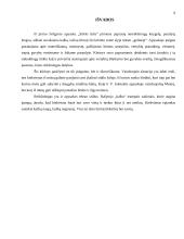 V. Juknaitė "Stiklo šalis" - apie autorę ir kūrinį 6 puslapis