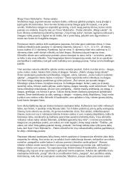 Margi Vinco Mykolaičio - Putino sakalai