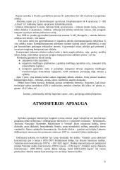 Atmosferos apsaugos Kėdainių mieste įvertinimas 15 puslapis