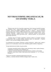 Atmosferos apsaugos Kėdainių mieste įvertinimas 19 puslapis