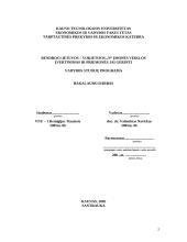 Bendros Lietuvos – Vokietijos įmonės veiklos įvertinimas ir priemonės jai gerinti 2 puslapis